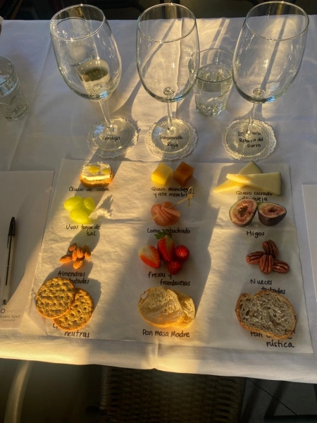 Cata de vinos
